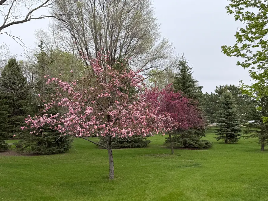 3100 N Gale Rd, Mitchell, SD 57301 - #2