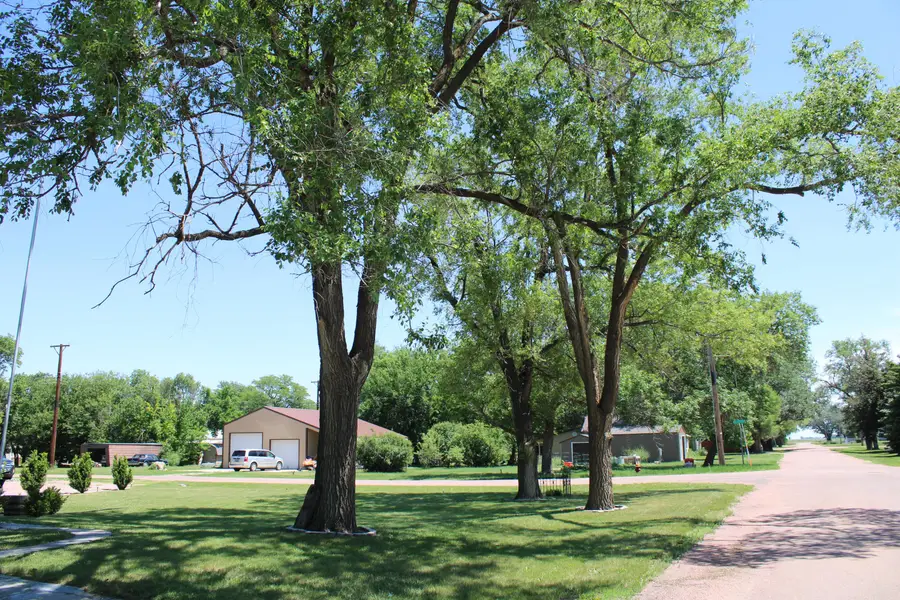 310 N 1st Ave, Stickney, SD 57375 - #3