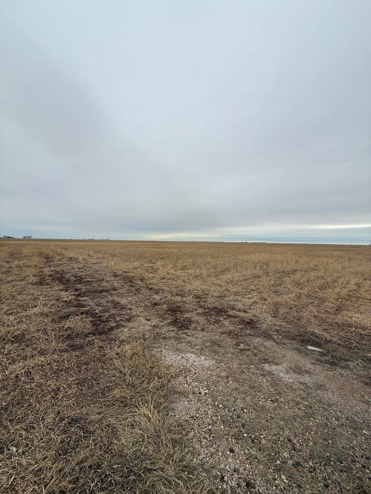 24939 421st Ave, Alexandria, SD 57311 - #1