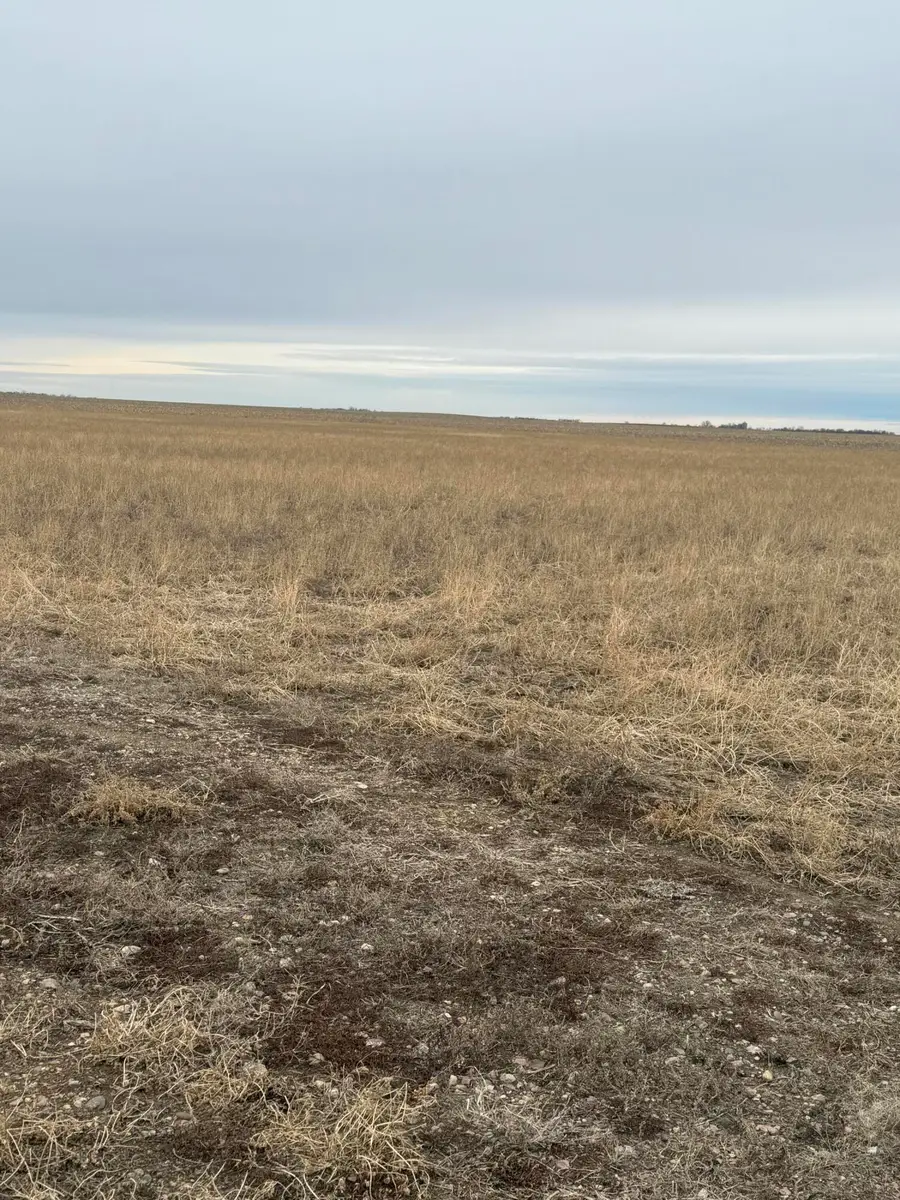 24939 421st Ave, Alexandria, SD 57311 - #2