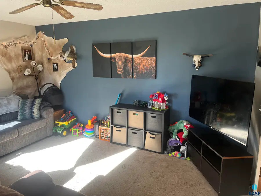 11822 111th St, Leota, SD 56153 - Image #3