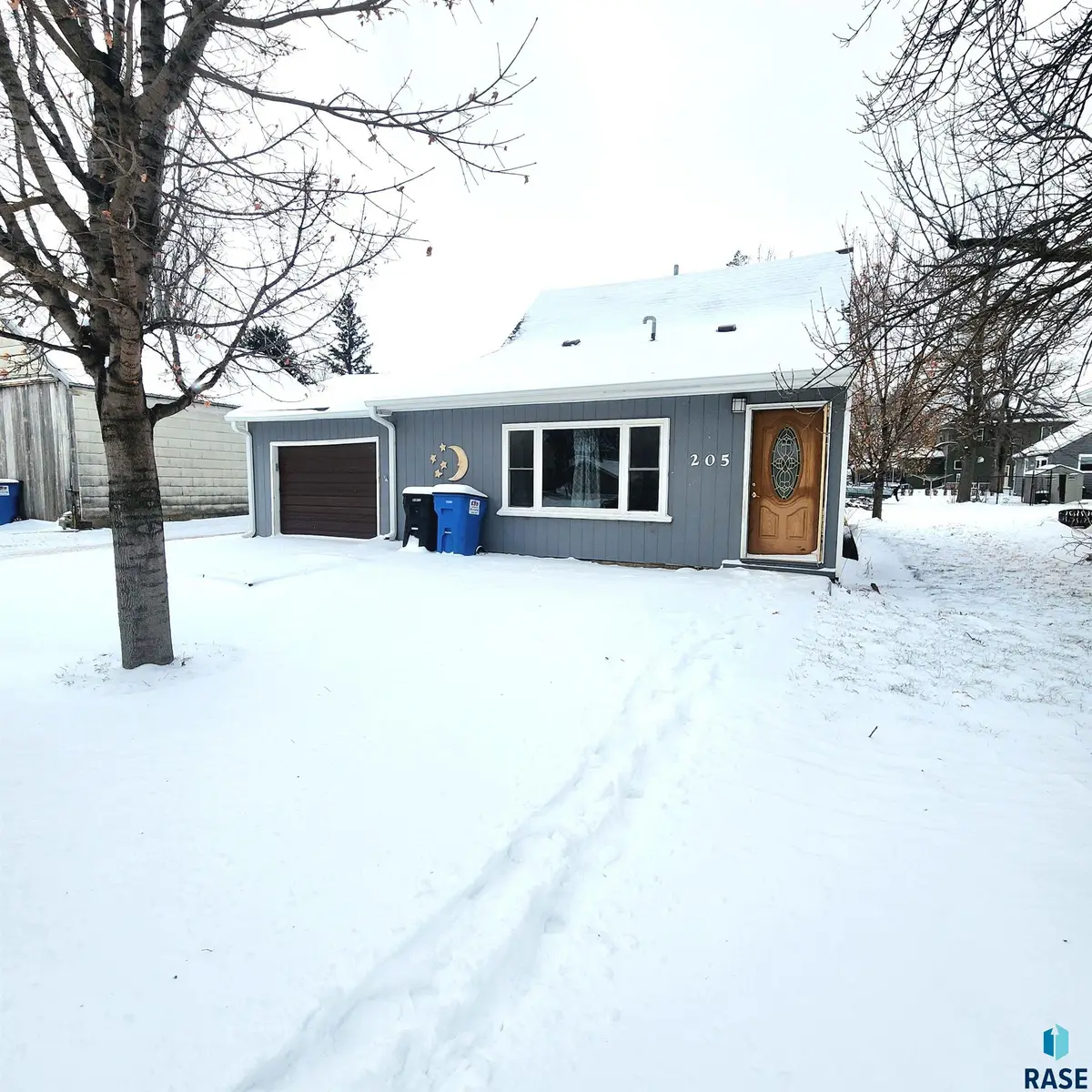 205 N Chestnut Ave, Parker, SD 57053 - Image #1