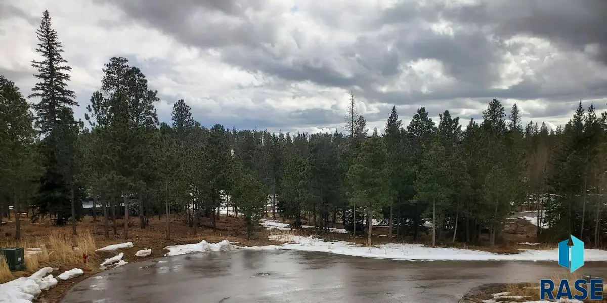 Candlewood Ct, Lead, SD 57754 - #1