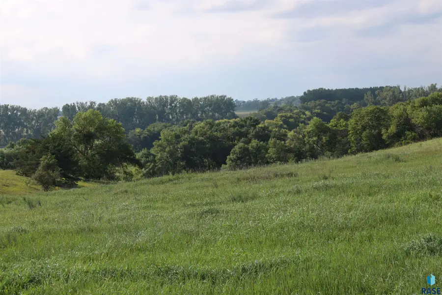 30000 463rd Ave, Centerville, SD 57014 - #3