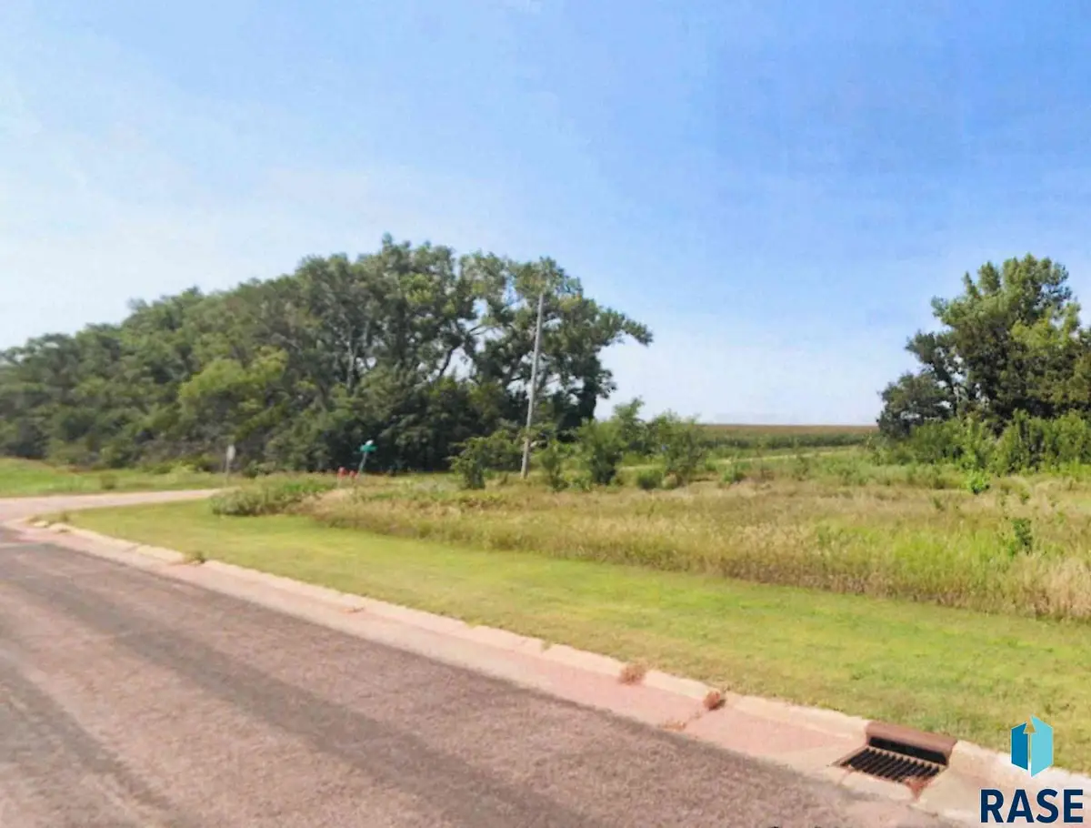 Lots 1&2 Western Est Addn, Madison, SD 57042 - #1