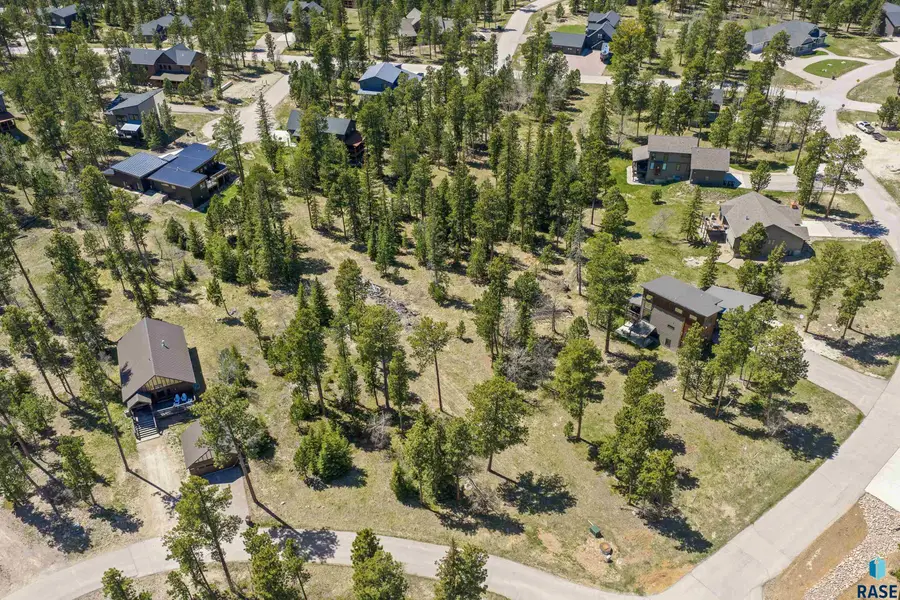 Rubys Way, Lead, SD 57754 - #2