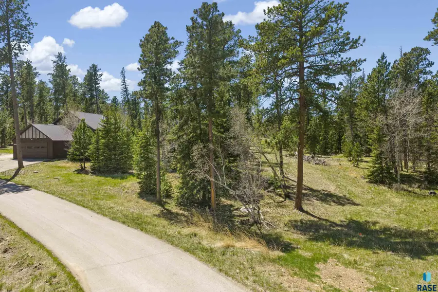 Rubys Way, Lead, SD 57754 - #3