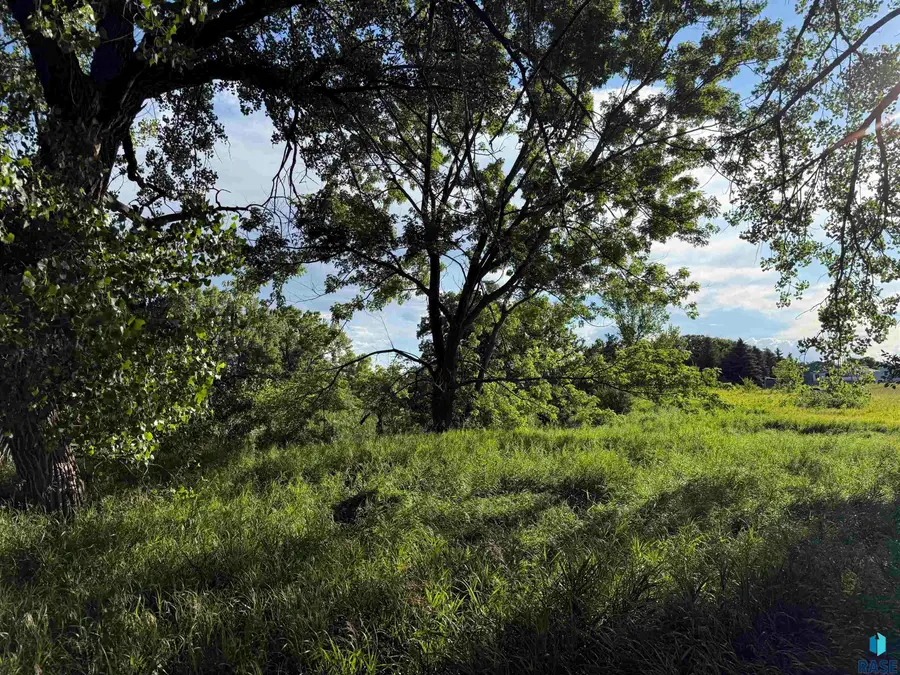 Lot 1 Gruba's Cove, Grenville, SD 57239 - #2