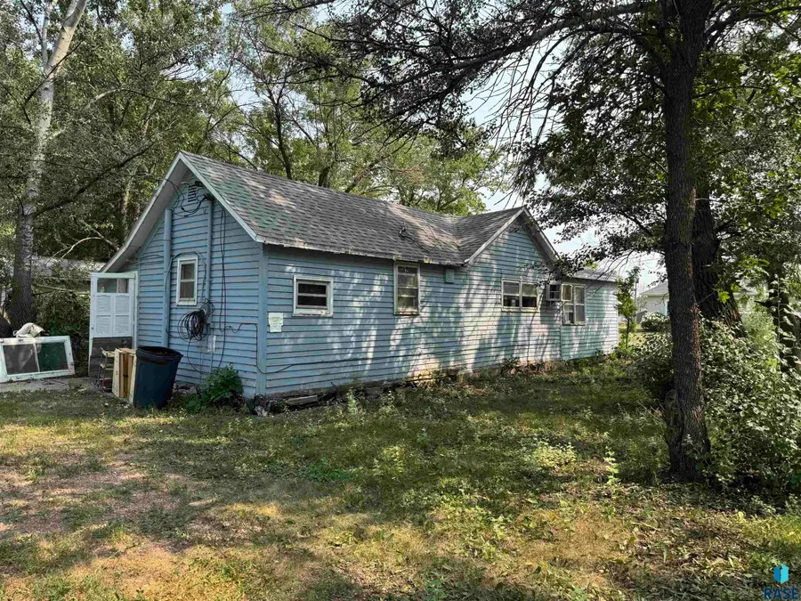 602 E 1st St, Plankinton, SD 57368 - #3