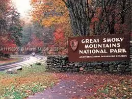 234 Sycamore Lane, Gatlinburg, TN 37738 - #2