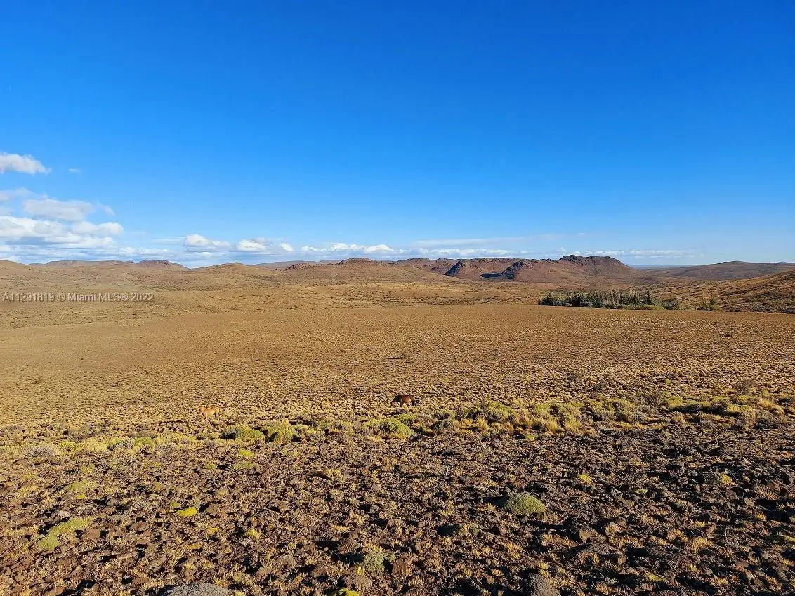 LA PATAGONIA Tehuelches Provincia Del Chubut Argentina, Mountain Home, AR  - #1