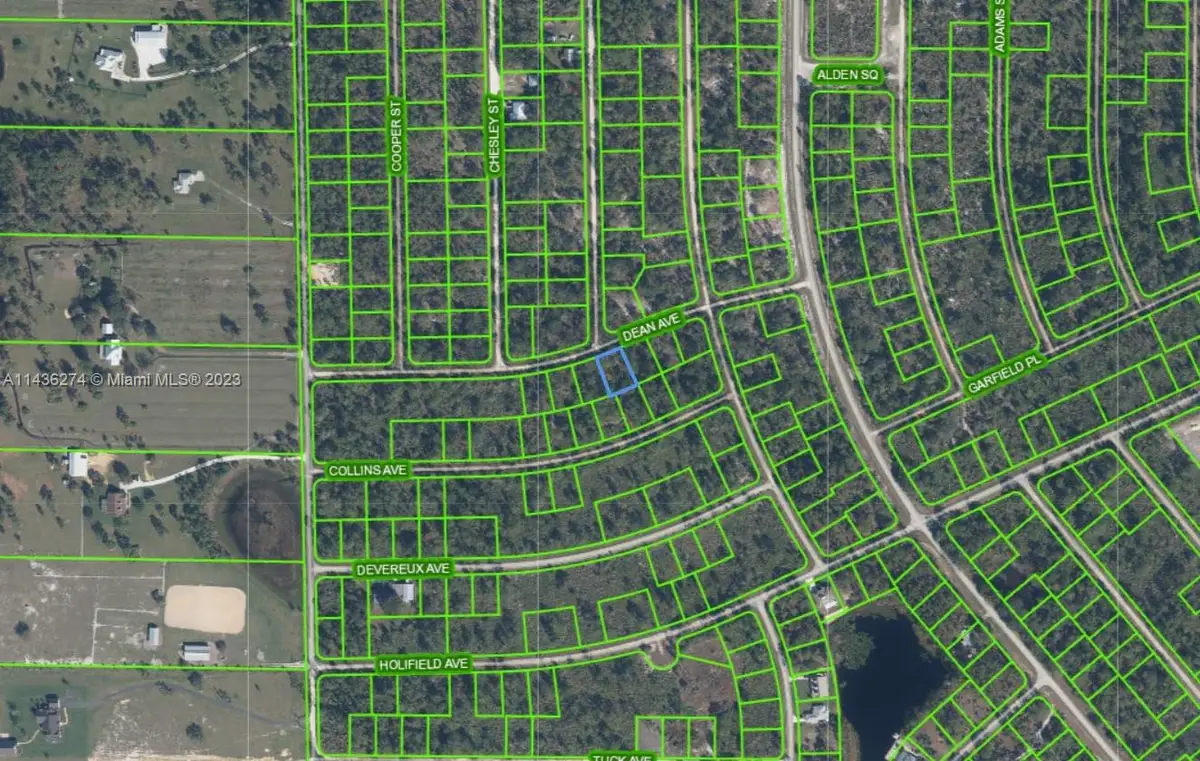 3238 Dean Avenue, Lake Placid, FL 33852 - Image #1