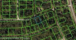 3238 Dean Avenue, Lake Placid, FL 33852 - Image #2