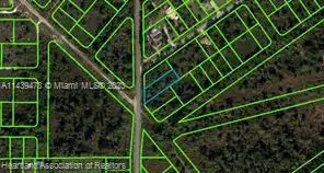 505 Hallmark Avenue, Lake Placid, FL 33852 - Image #2