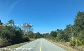 505 Hallmark Avenue, Lake Placid, FL 33852 - Image #3