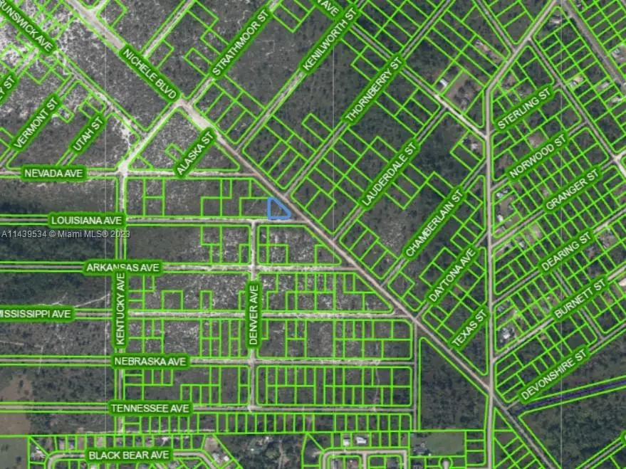 532 Nichele Boulevard, Lake Placid, FL 33852 - Image #1