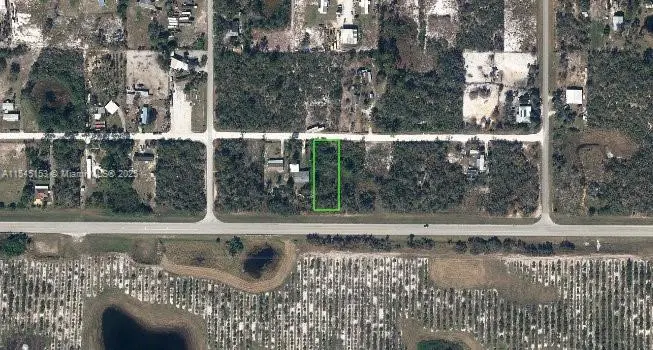 141 Flagler St, Lake Placid, FL 33852 - #1