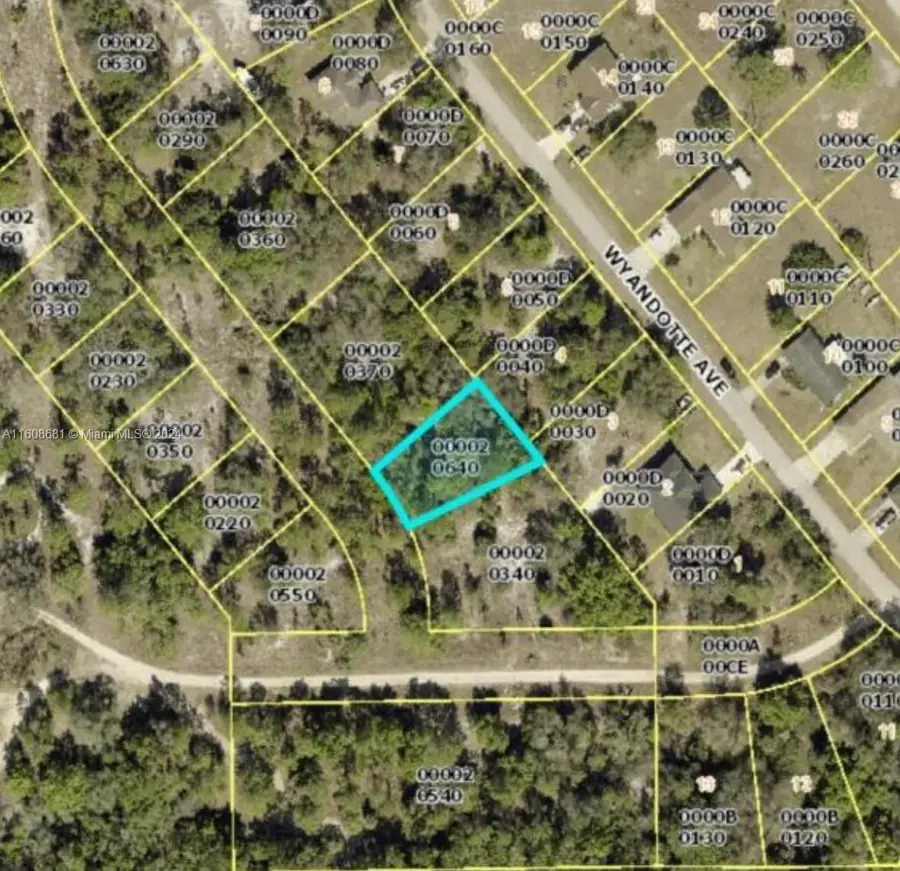 Alva, Fl, Leesburg East, FL 33920 - #3
