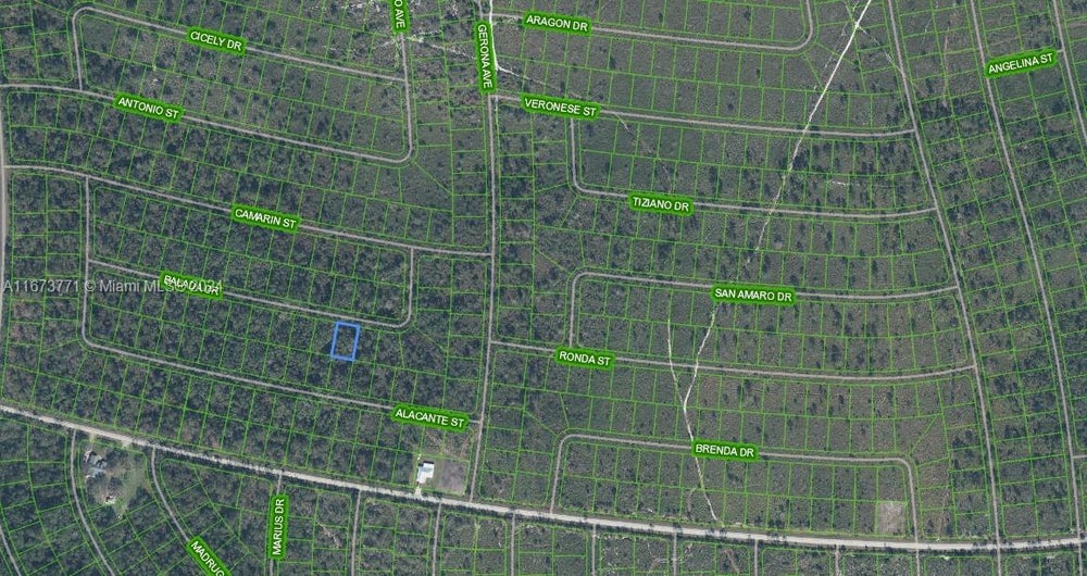 8525 Balada Dr, Sebring, FL 33872 BHGRE