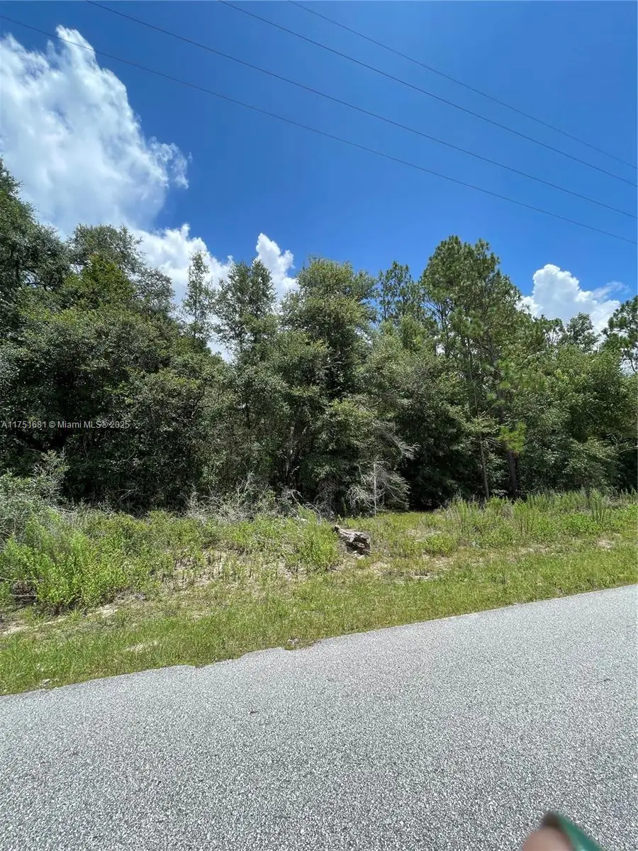 tbd SW 59th Ln, Other, FL 34431 - #2