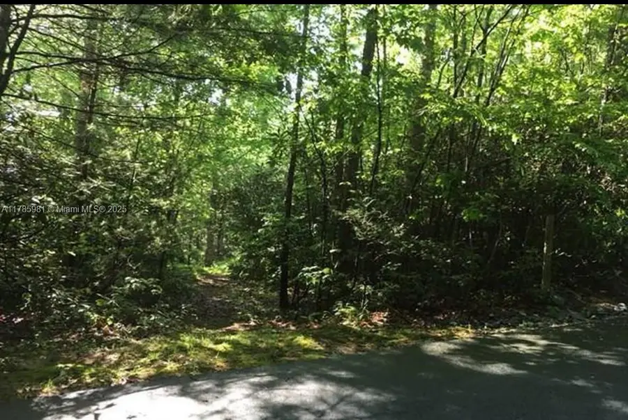 Lot 66 Juniper Court, Sapphire, NC 28774 - #2