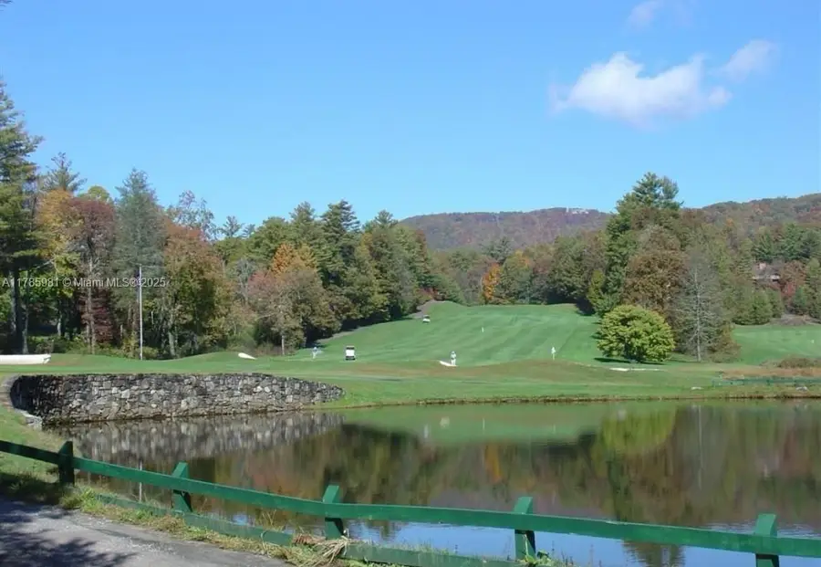 Lot 66 Juniper Court, Sapphire, NC 28774 - #3