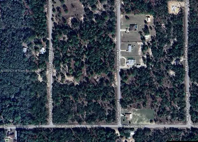 0 SW Lemon Hill Dr, Rainbow Lakes Estates, FL 34431 - #1