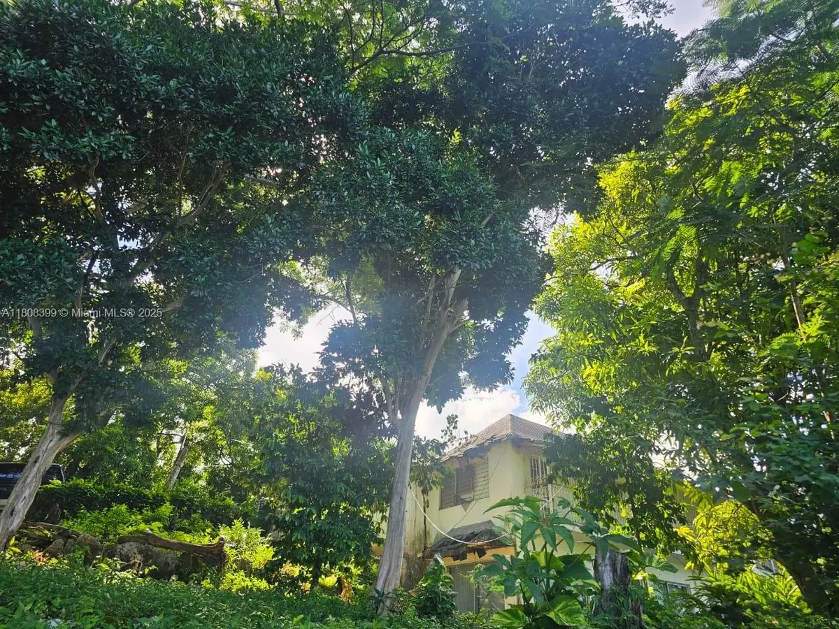 00 Estate With Cottages  Boscobel Beach, St. Mary, J, Grant, J  - #1