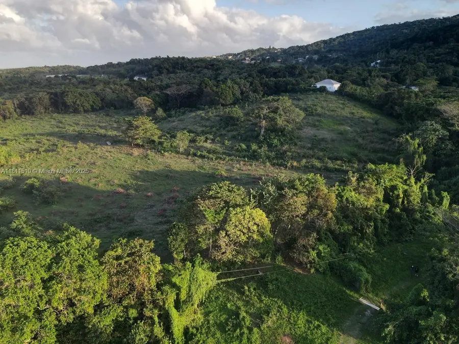 NA Portland,jamaica, Portland, OR  - #3
