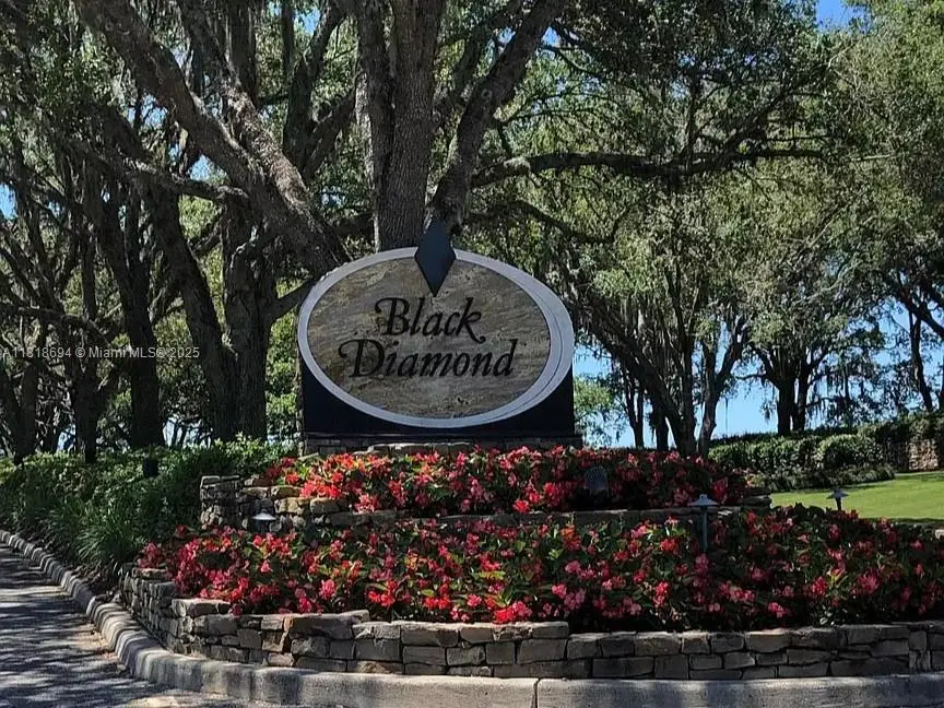 2940 W Plantation Pines Ct, Black Diamond, FL 34461 - #2