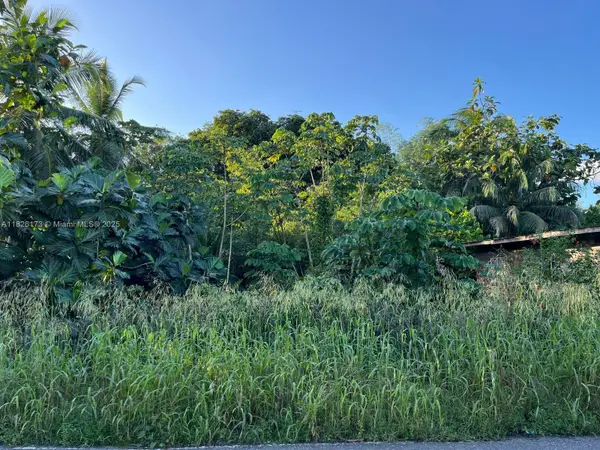 Nestor Village Sangre Grande, ,  00000