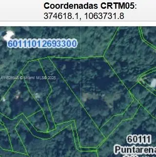 Calle Publica Malpais, Costa Rica, Lake George, CO  - #3