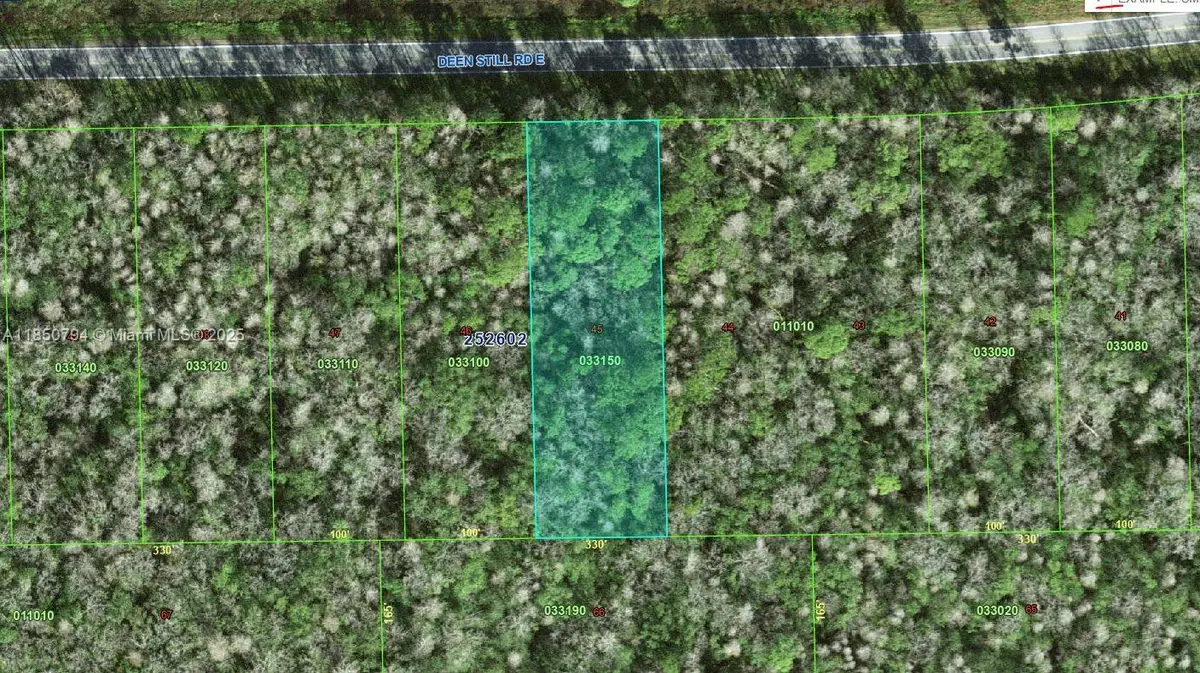 0 Deen Still Rd E, Polk City, FL 33868 - #1