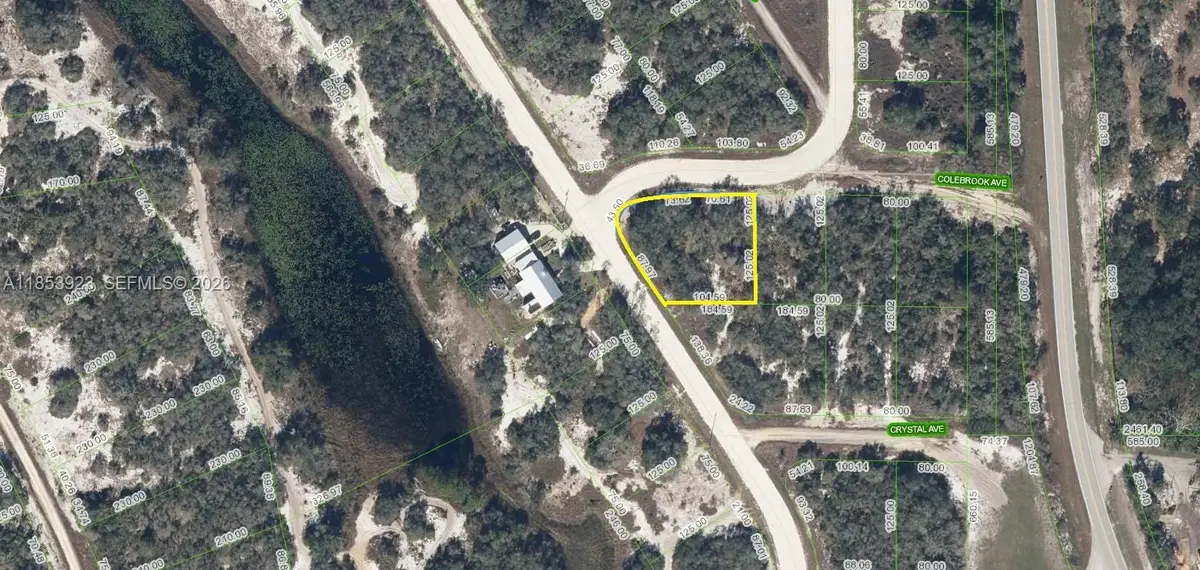 231 Lakeland Dr, Lake Placid, FL 33852 - #1