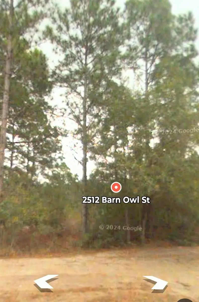 2512 Barn Owl Street, Sebring, FL 33870 - #2