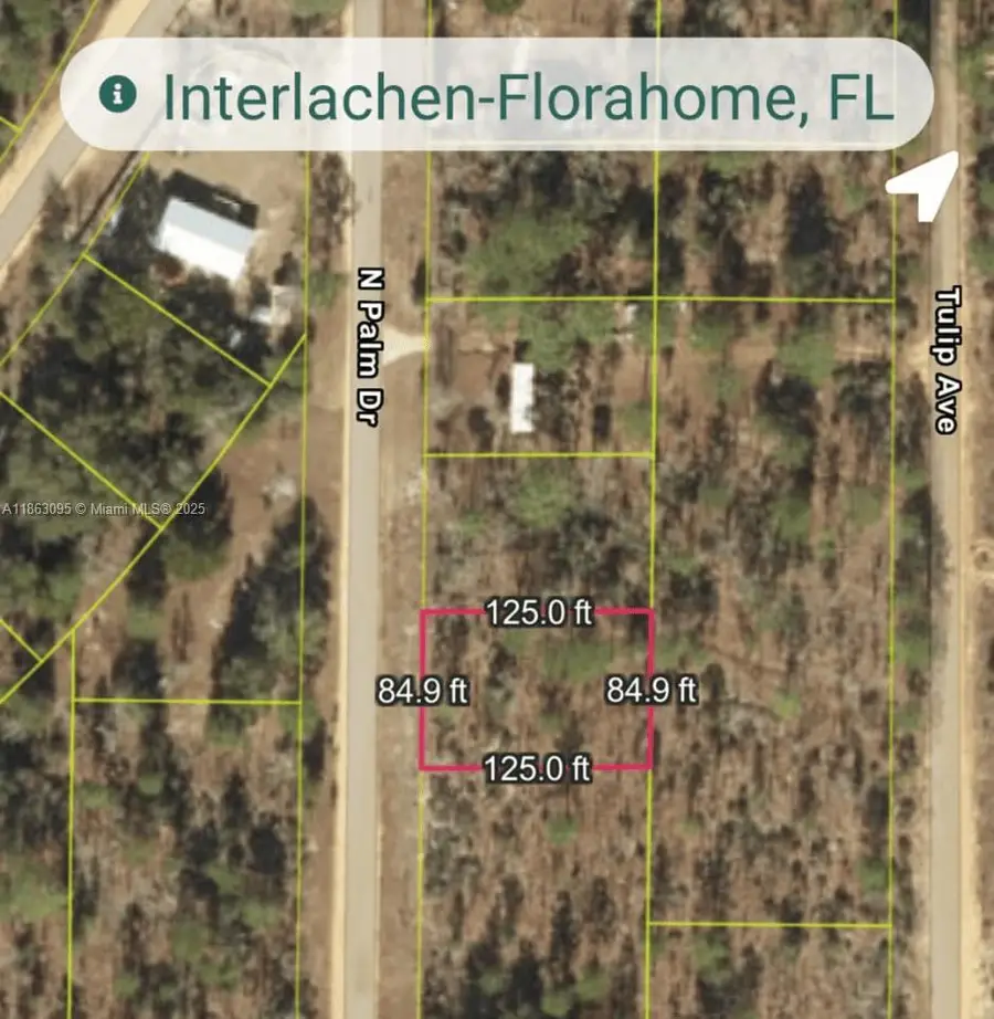 108 N Palm Dr, Interlachen Florahome, FL 32148 - #3