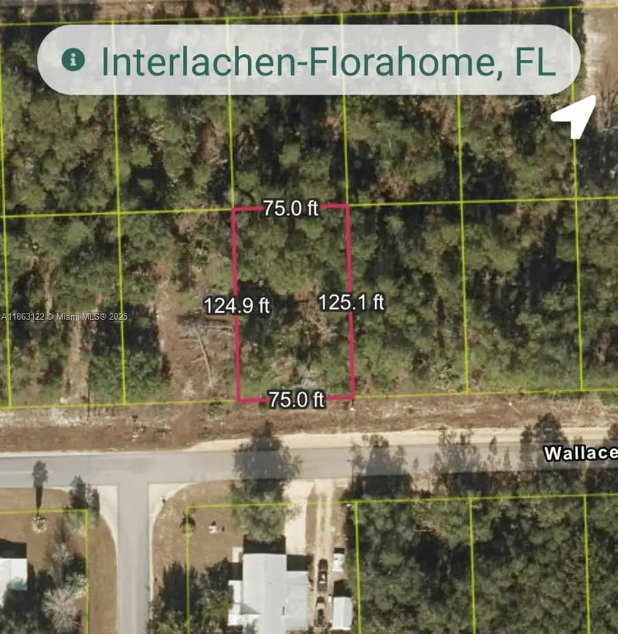 105 Wallace St, Interlachen Florahome, FL 32148 - #3