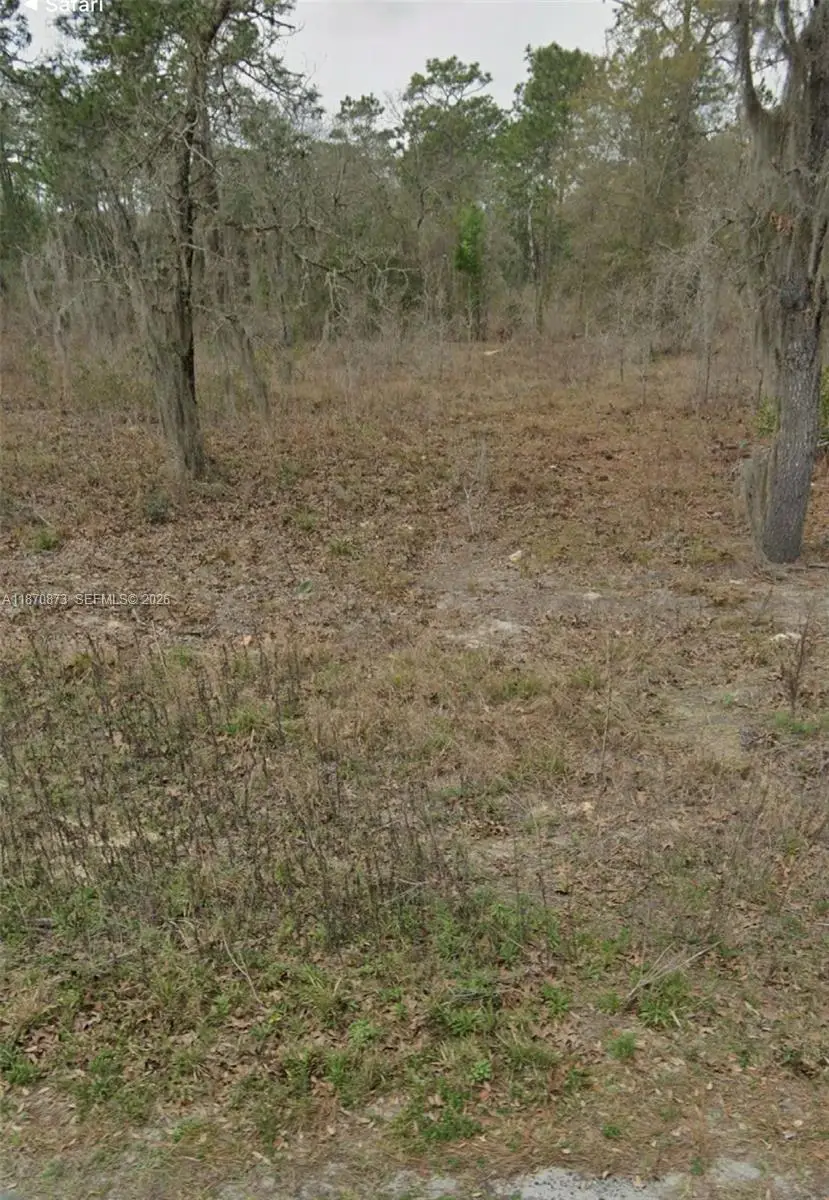 UNDETERMINED SW 130th Ave, Fellowship, FL 34432 - #1
