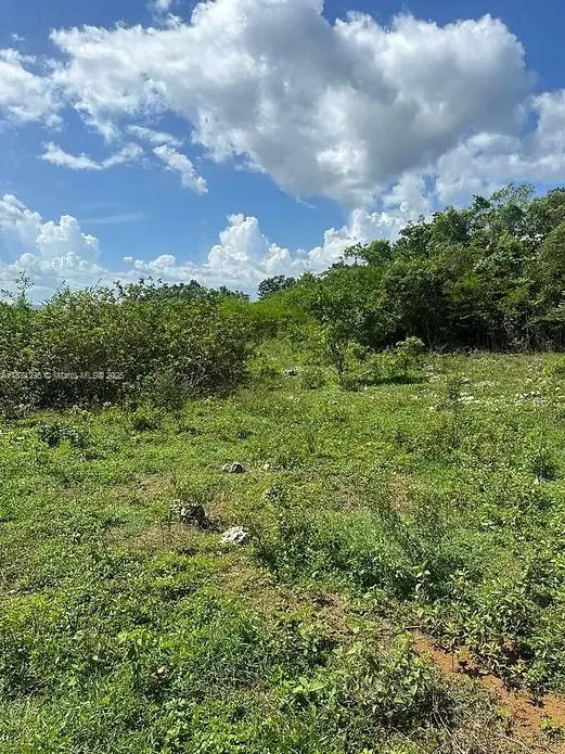 00 Rio Neuvo, St Mary Jamaica, Northeast Glades, FL  - #3