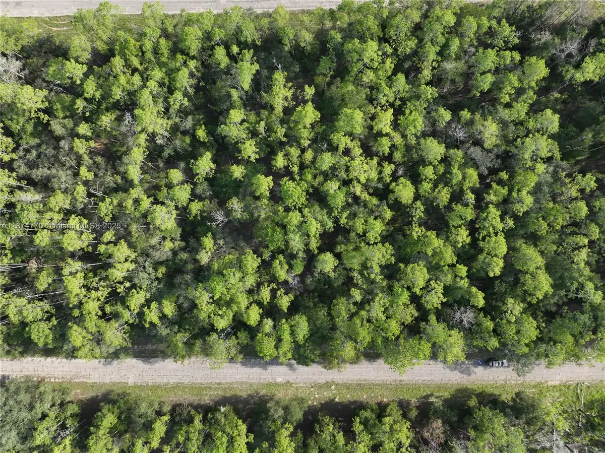 598 E Marquette Ln, Citrus Springs, FL 34434 - #1