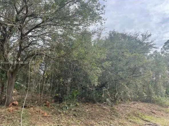 1208 Abbot Avenue, Lehigh Acres, FL 33972 - #3