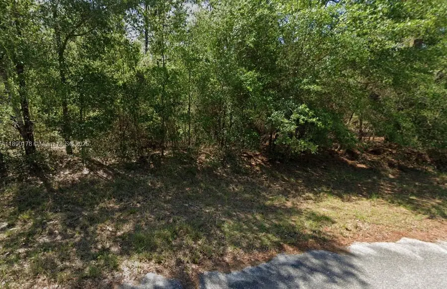 207 Circle, Dunnellon, FL 34431 - #3