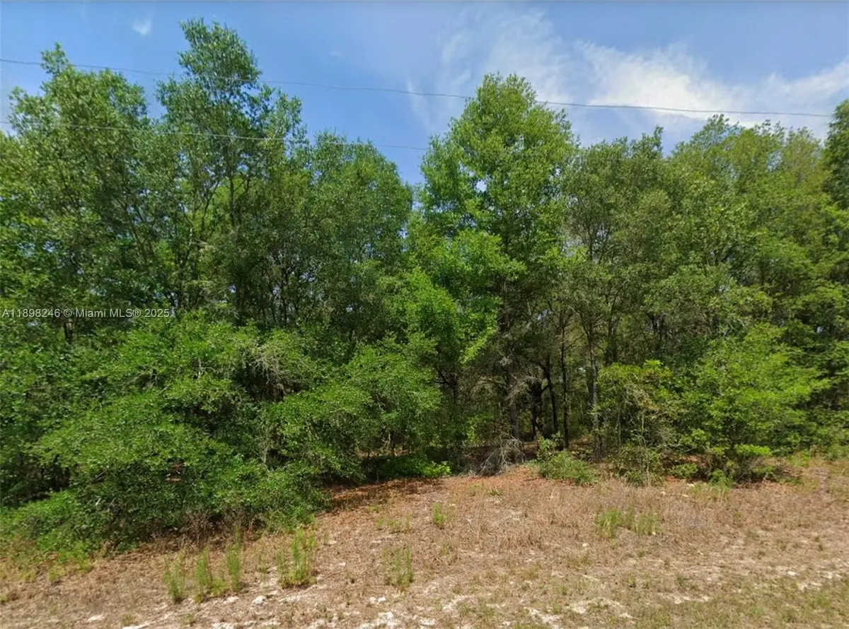 11451 N Clare, Citrus Springs, FL 34434 - Image #1