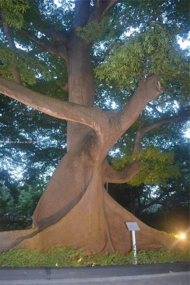 1871 NW S River Dr #1505, Miami, FL 33125 - Image #3