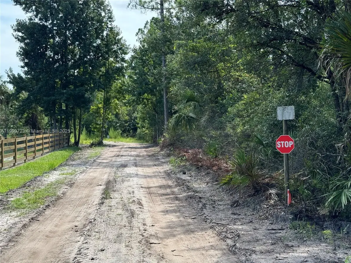 0 County Road 335, Other, FL 32110 - #1