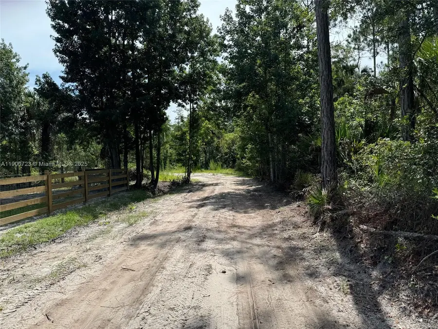 0 County Road 335, Other, FL 32110 - #3