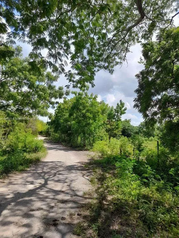 Autovia del Este Autoria Del Este, Grant, FL  - #2