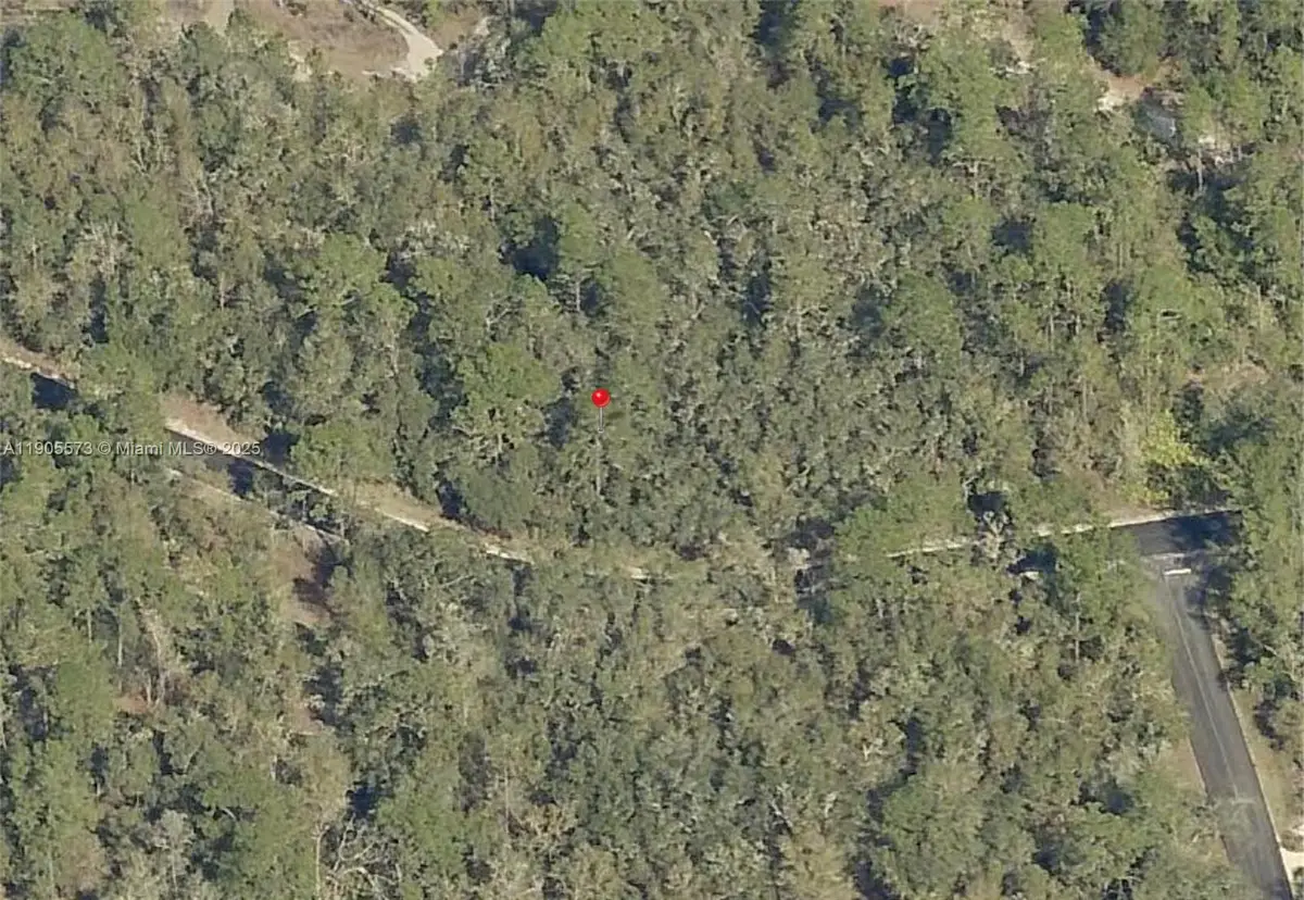 0 Locust Loop Radial, Ocala, FL 34472 - Image #1