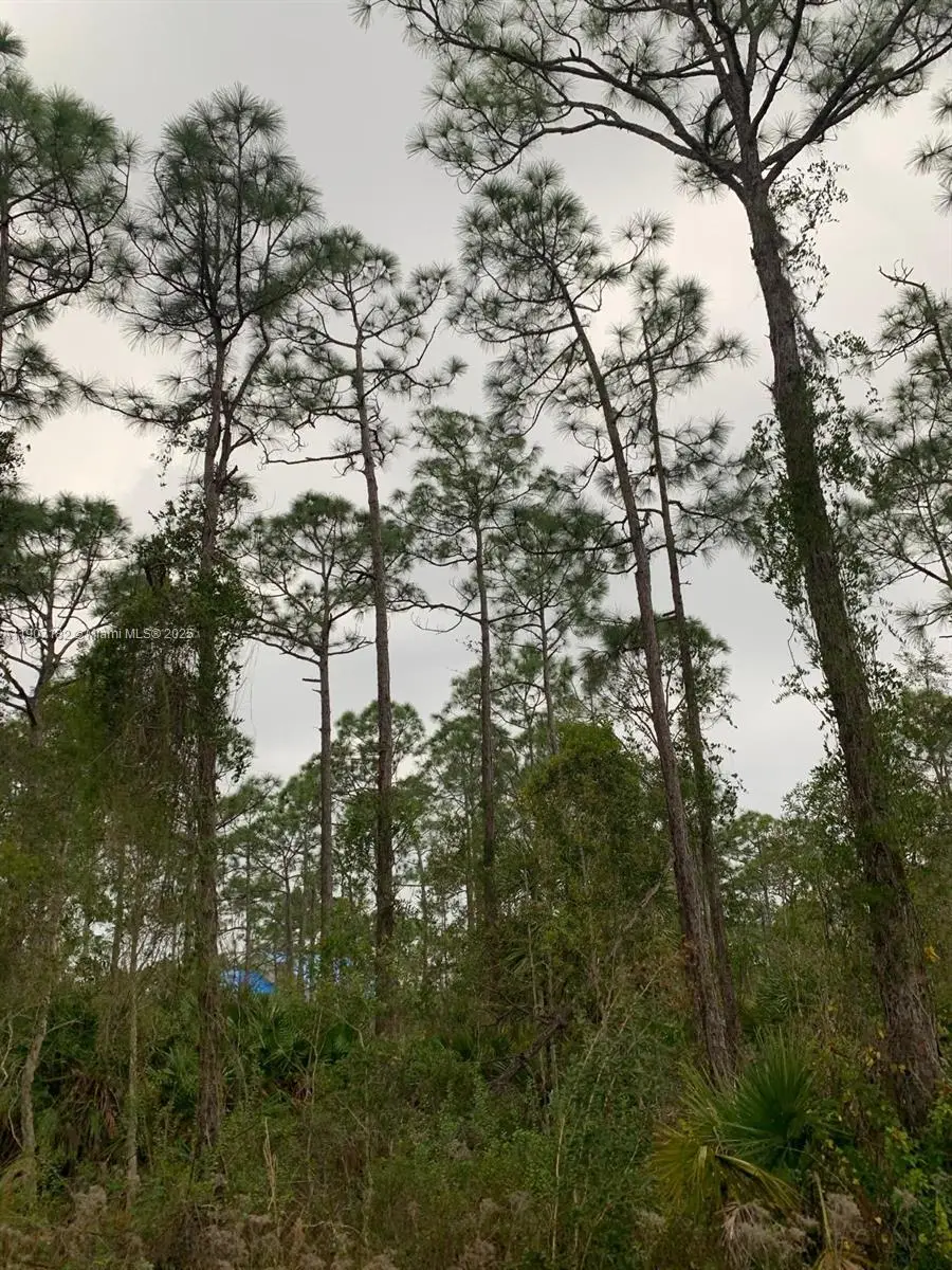 28338 Calais Ave, Punta Gorda, FL 33955 - Image #3