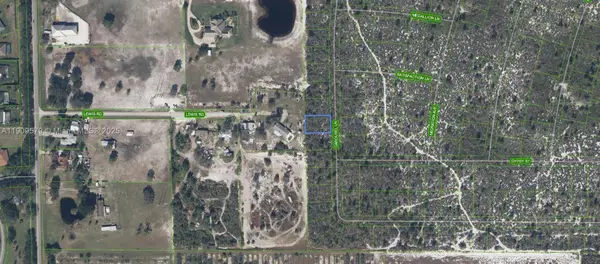 541 Carousel Lane, Lake Placid, FL 33852